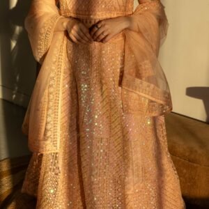 Blush Peach Sequins Embroidered Punjabi Suit with Organza Dupatta