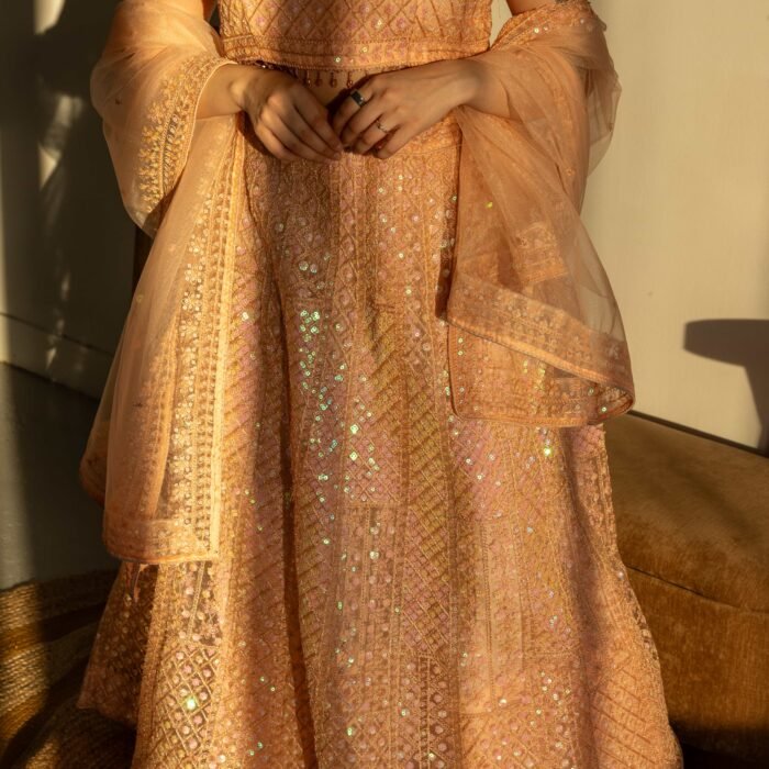 Blush Peach Sequins Embroidered Punjabi Suit with Organza Dupatta