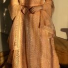 Blush Peach Sequins Embroidered Punjabi Suit with Organza Dupatta