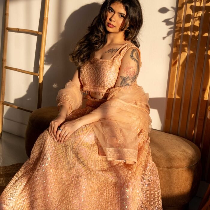 Blush Peach Sequins Embroidered Punjabi Suit with Organza Dupatta