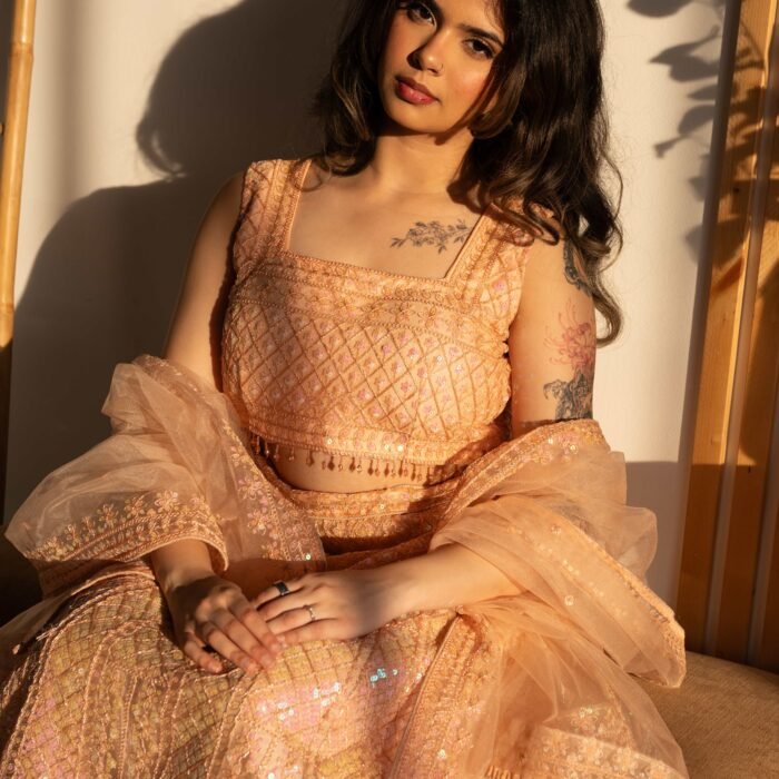 Blush Peach Sequins Embroidered Punjabi Suit with Organza Dupatta