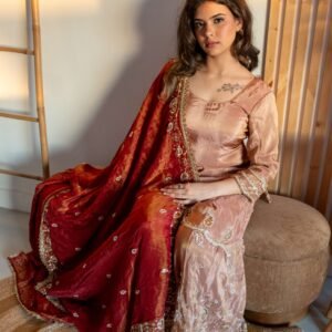Rose Gold Embroidered Sharara Punjabi Suit Set with Red Dupatta