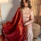 Rose Gold Embroidered Sharara Punjabi Suit Set with Red Dupatta