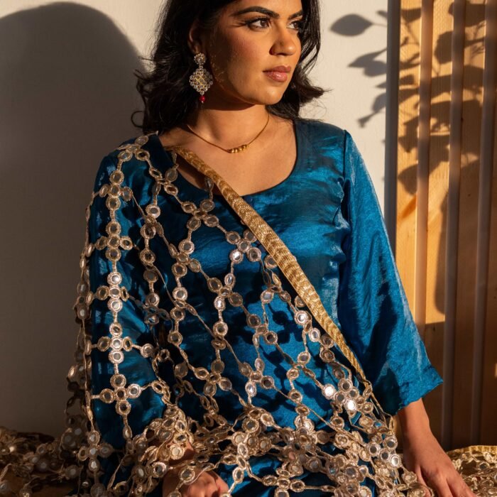 Royal Sapphire Punjabi Suit with Sharara with Mirror Net Dupatta 2 Royal Sapphire Punjabi Suit with Sharara with Mirror Net Dupatta 2