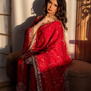 Ruby Red Embroidered Punjabi Suit with Heavy Gold Work & Elegant Dupatta