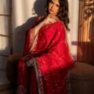 Ruby Red Embroidered Punjabi Suit with Heavy Gold Work & Elegant Dupatta